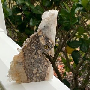 QUARTZ CRYSTAL CLUSTER HAND CARVED BIRD